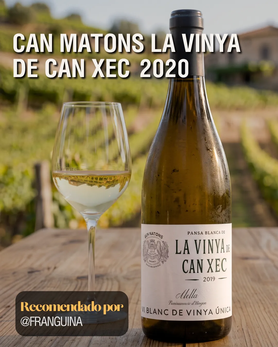 Botella de Can Matons La Vinya de Can Xec 2020 junto a una copa de vino blanco sobre una mesa de madera con viñedos de fondo